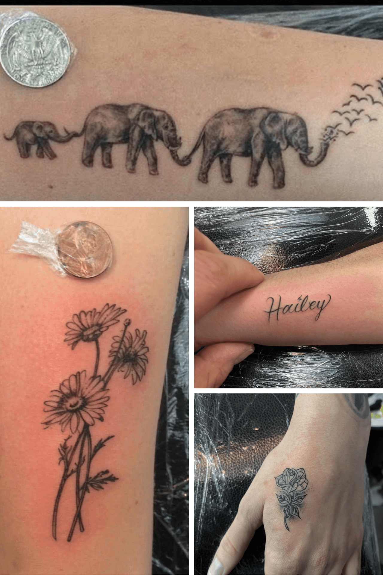 Collage of tattoos: elephants, daisies, name 'Hailey', and a rose.